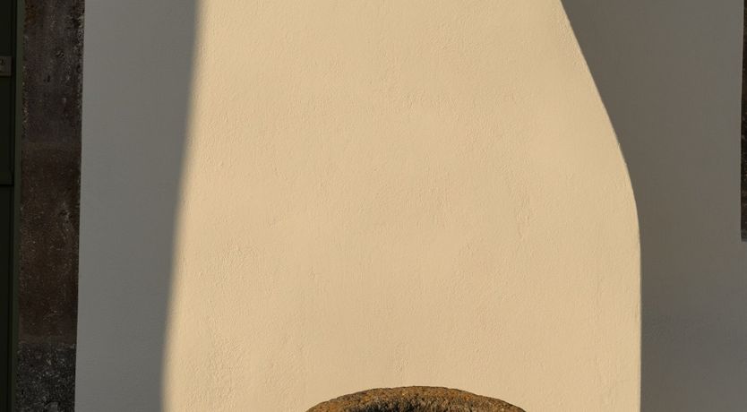 Photo of Desert Dances