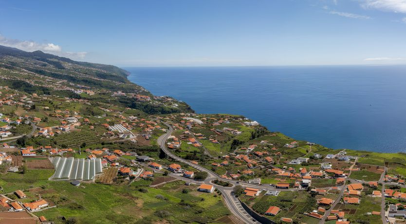 Photo of Light Skies