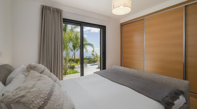 Photo of Light Skies