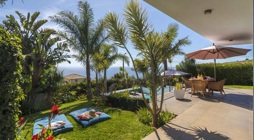 Photo of Light Skies