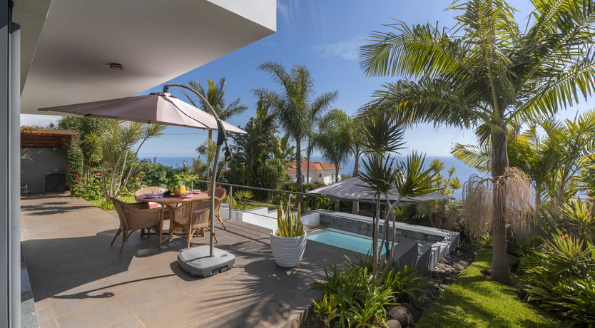 Photo of Light Skies