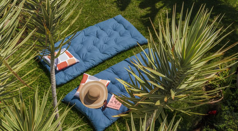 Photo of Light Skies