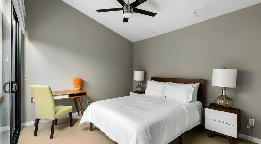 Photo of Vibrant Desert Oasis