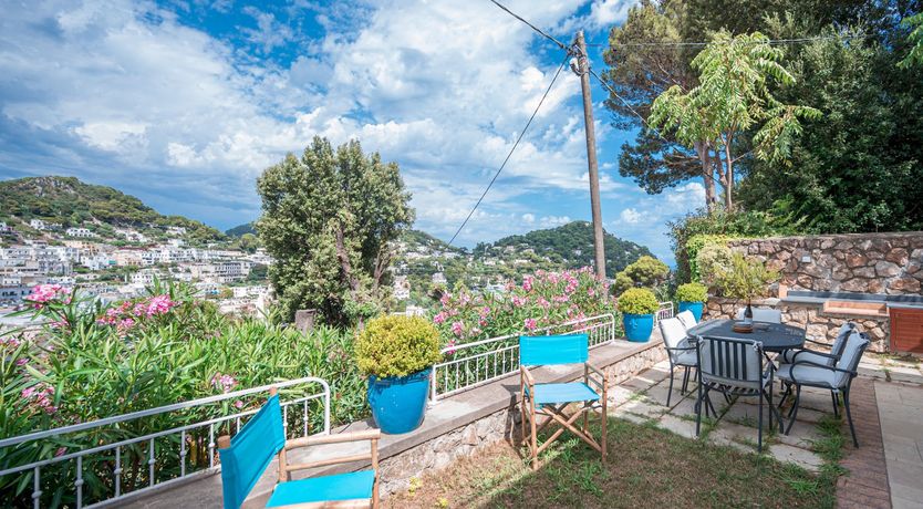 Photo of The Flower of Capri