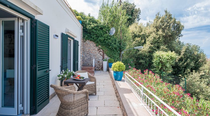 Photo of The Flower of Capri