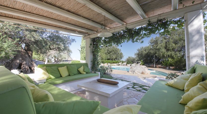 Photo of Olive Orchard Oasis