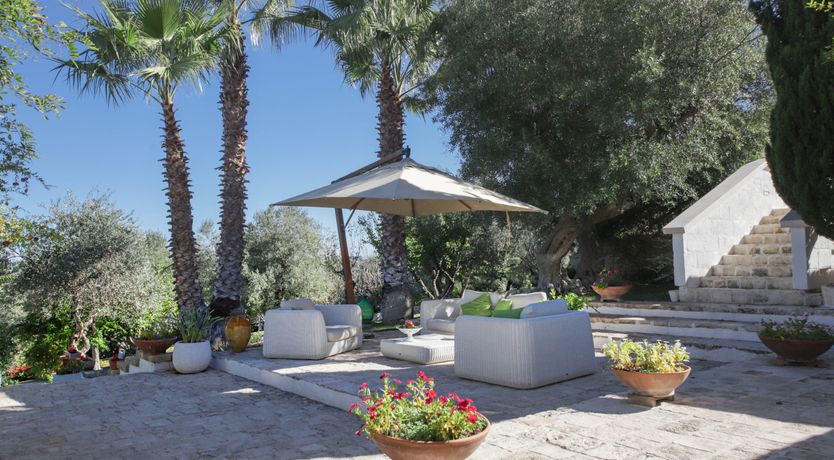 Photo of Olive Orchard Oasis