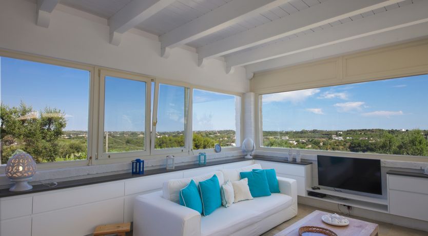 Photo of Olive Orchard Oasis