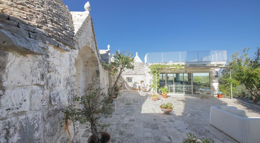 Photo of Olive Orchard Oasis