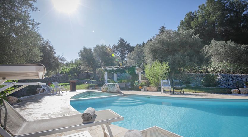 Photo of Olive Orchard Oasis