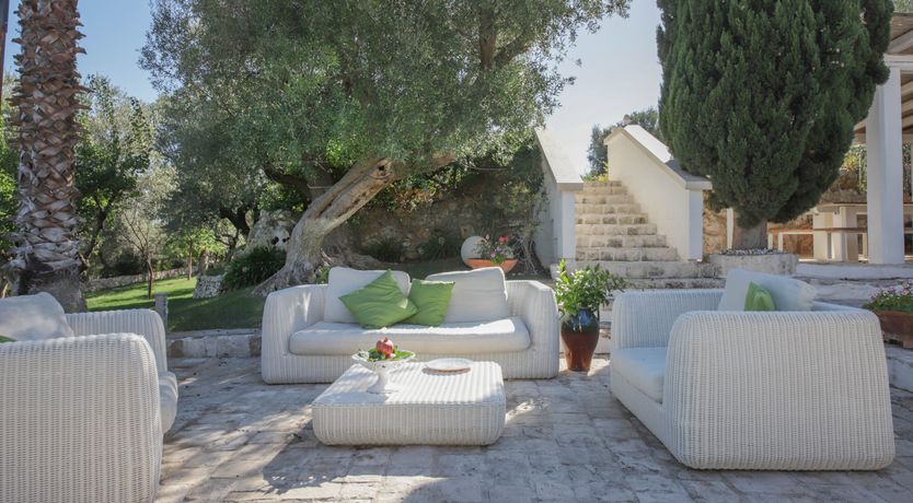 Photo of Olive Orchard Oasis