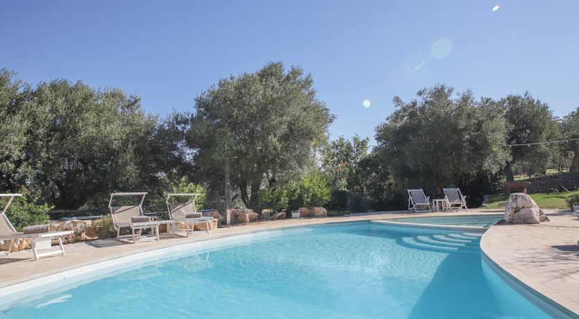 Photo of Olive Orchard Oasis