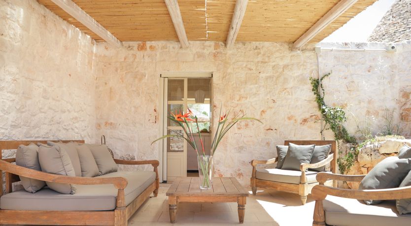 Photo of Under the Olive Shadows