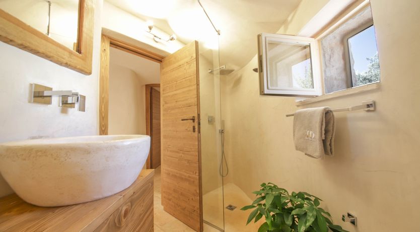 Photo of Under the Olive Shadows