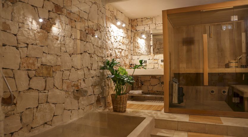 Photo of Under the Olive Shadows