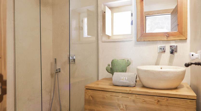 Photo of Under the Olive Shadows