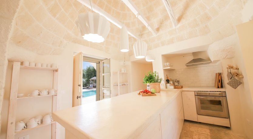 Photo of Under the Olive Shadows