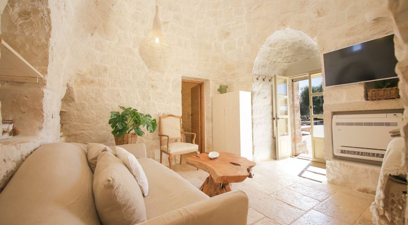 Photo of Under the Olive Shadows