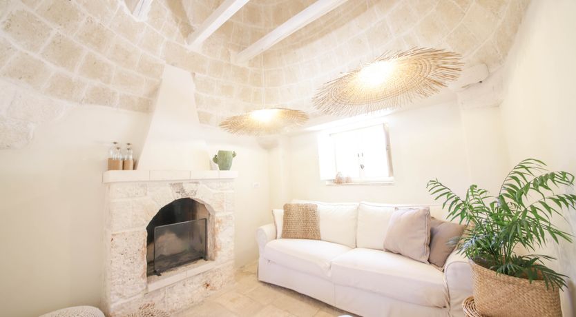 Photo of Under the Olive Shadows