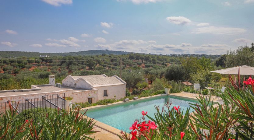 Photo of Whispers of Olive