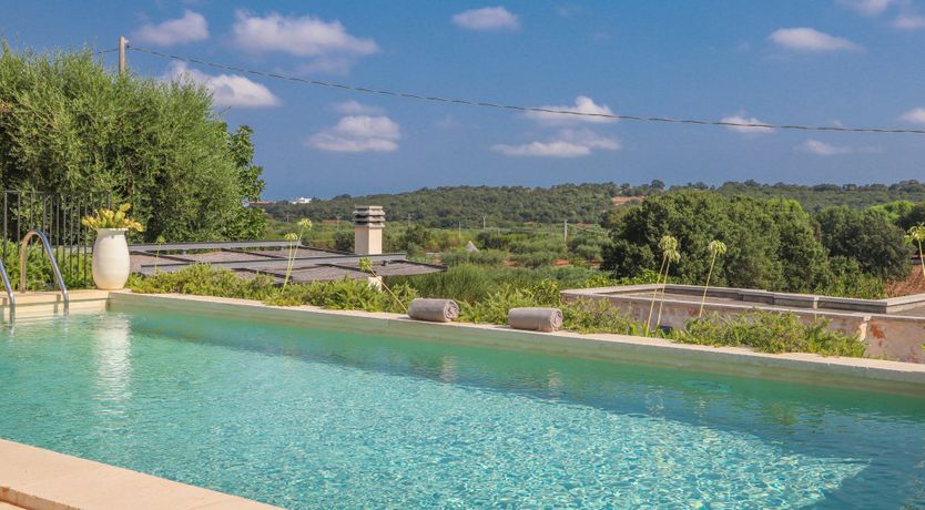 Photo of Whispers of Olive