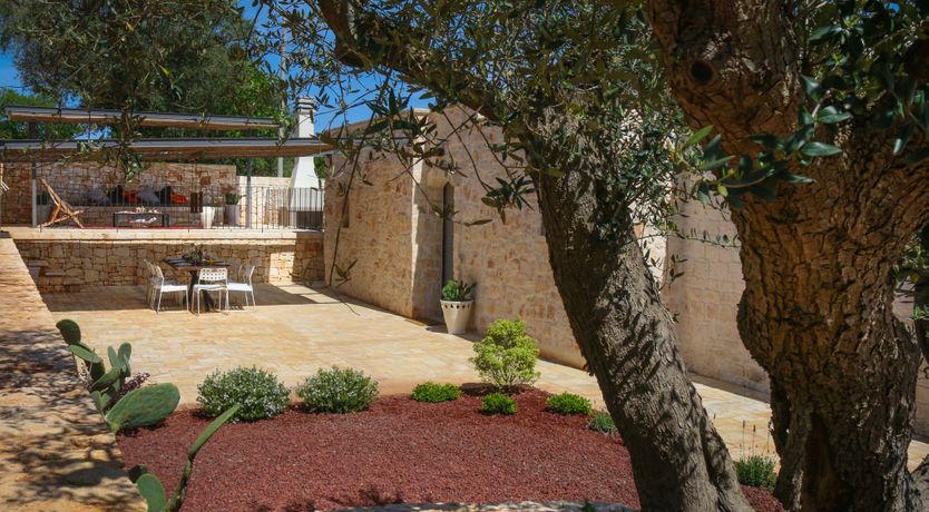 Photo of Whispers of Olive