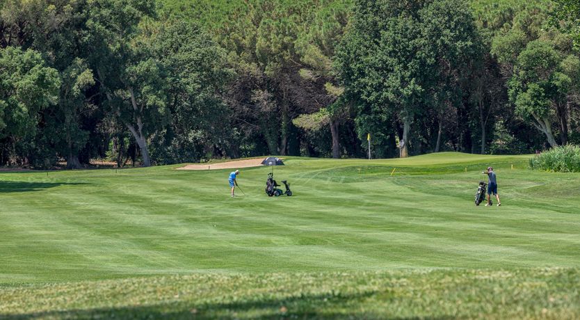 Photo of Serenity in Solius