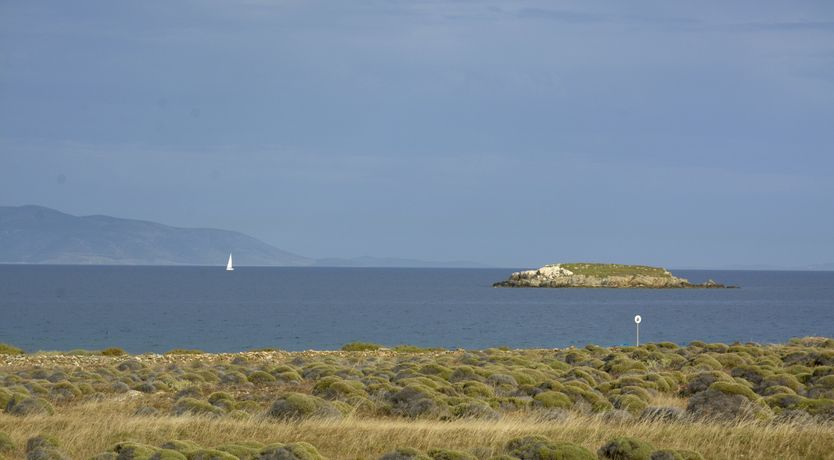 Photo of Paradise On Pemkot