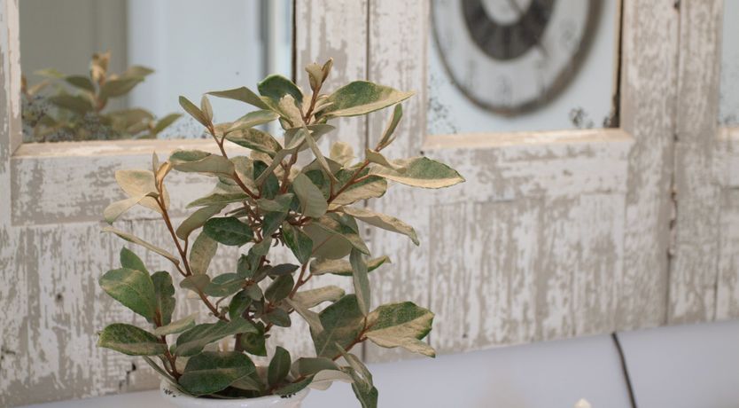 Photo of Paradise On Pemkot