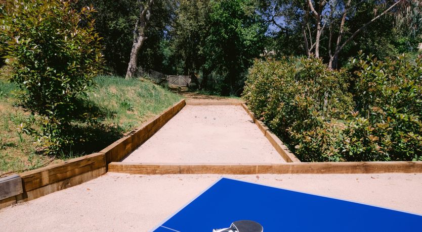 Photo of The Green Vineyard