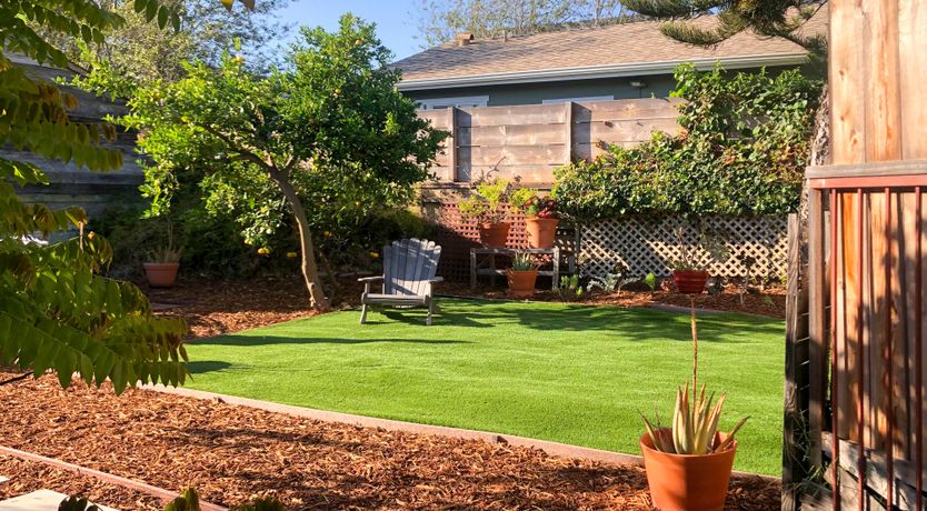 Photo of Venice, Baby