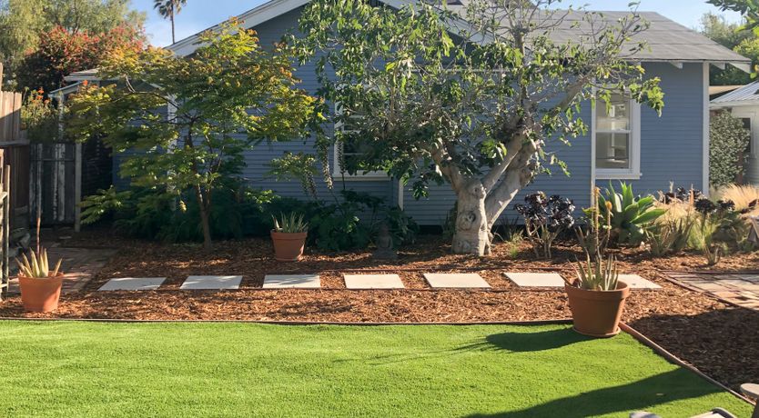 Photo of Venice, Baby