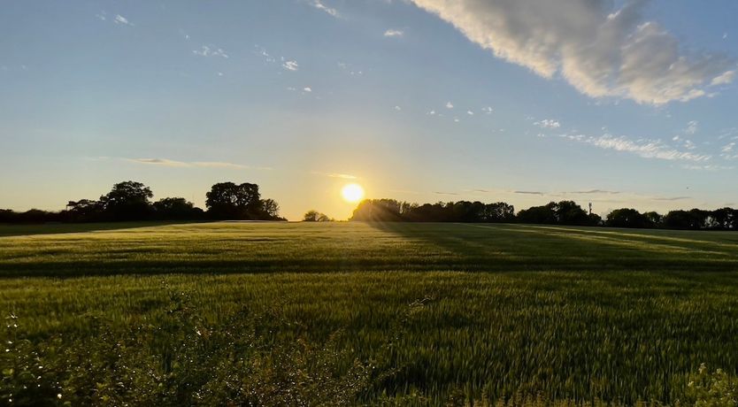 Photo of The Windmill Tower