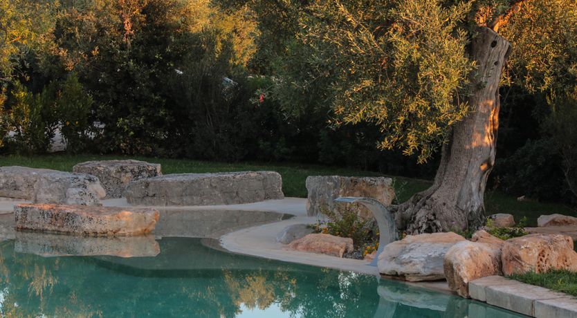 Photo of Amore Puglia