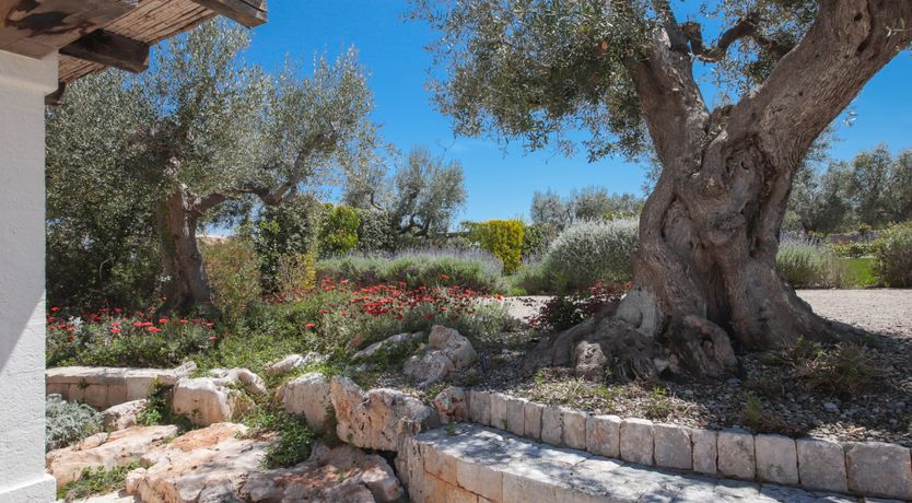 Photo of Amore Puglia