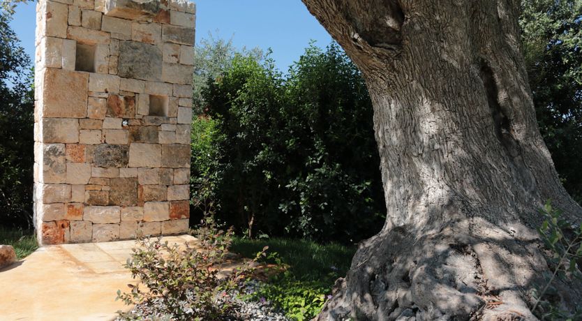 Photo of Amore Puglia