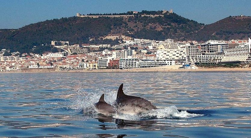Photo of Dreamy Coastal Hideaway