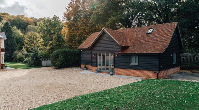 Photo of Life in the Woods