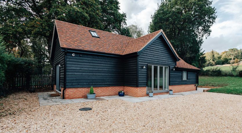 Photo of Life in the Woods