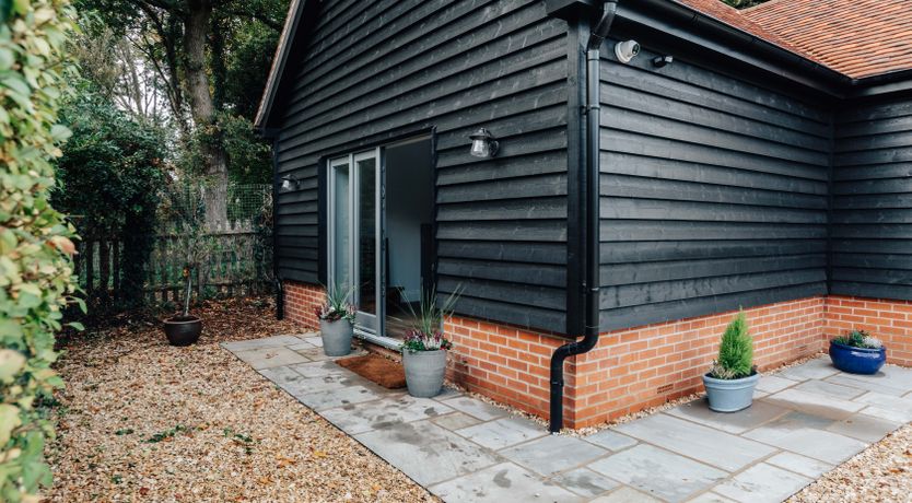 Photo of Life in the Woods