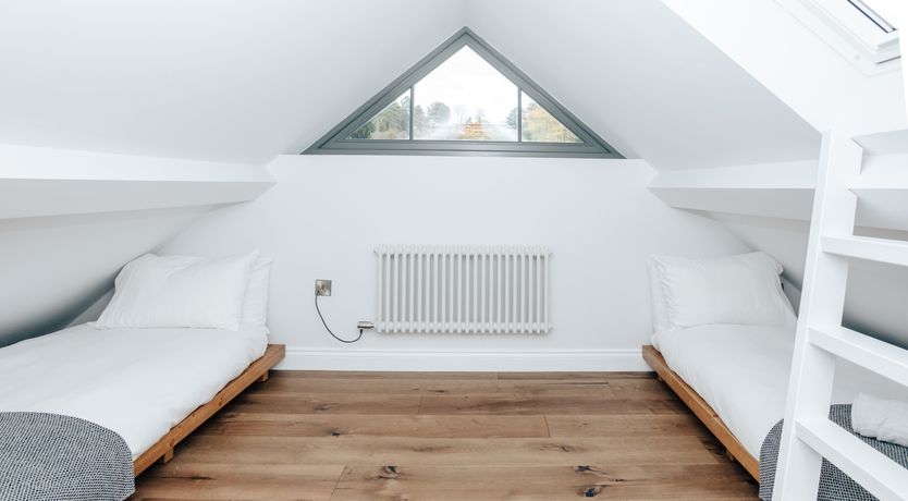 Photo of Life in the Woods