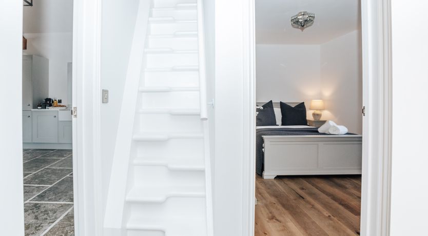 Photo of Life in the Woods