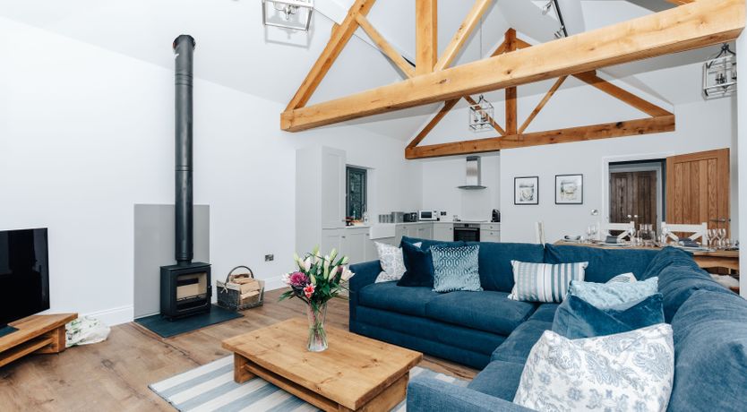 Photo of Life in the Woods