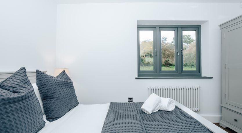 Photo of Life in the Woods