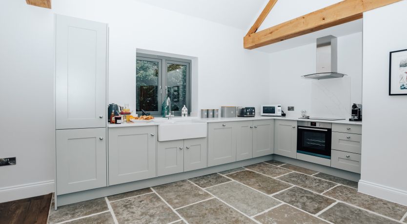 Photo of Life in the Woods