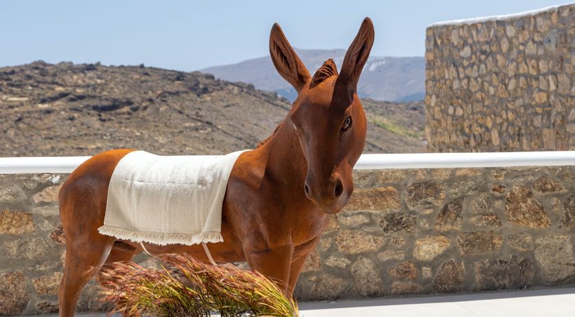 Photo of Sun-Soaked Oasis