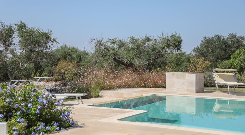 Photo of Medley of Olives