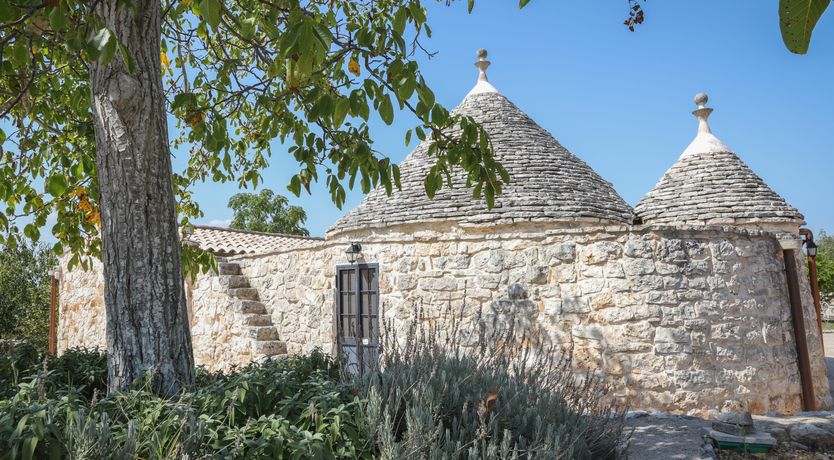 Photo of Medley of Olives