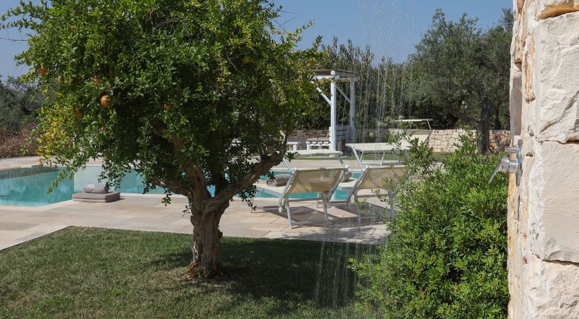 Photo of Medley of Olives