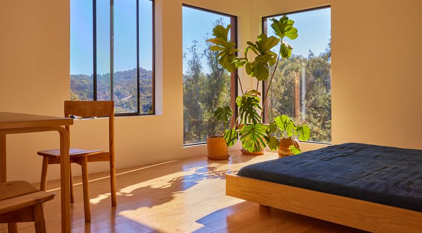 Photo of Topanga Sun